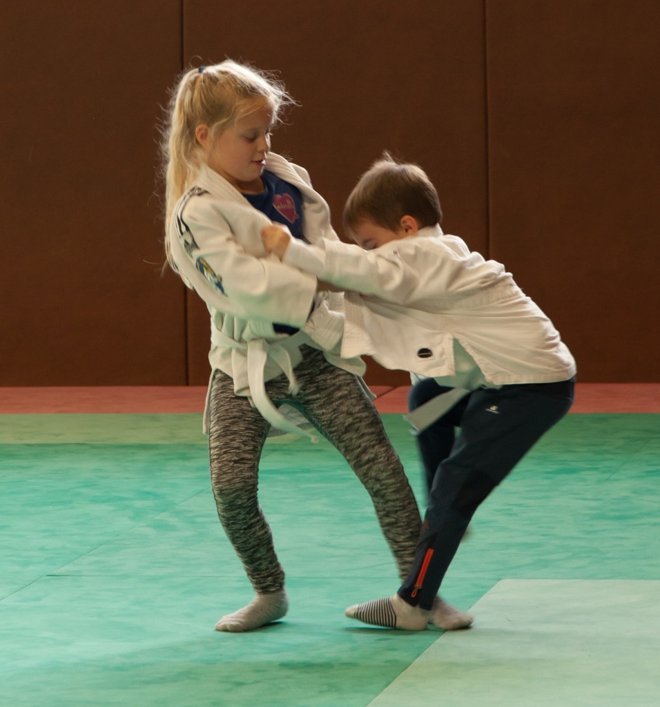 Animation judo Riedisheim Arts Martiaux