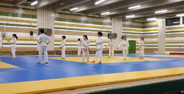 riedisheim arts martiaux, jujitsu brésilien, taïso, judo