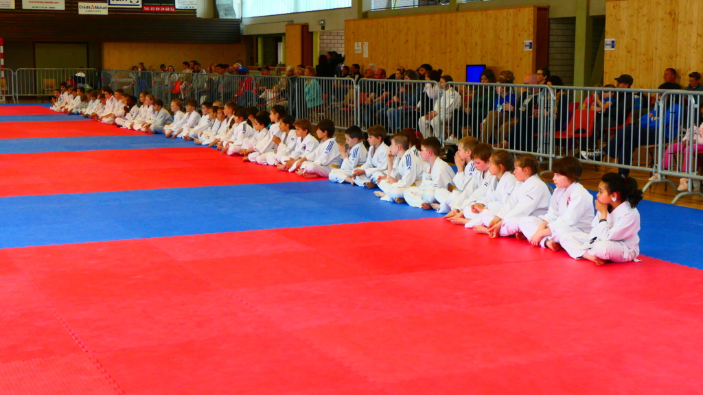 Riedisheim arts martiaux, krav maga kids et self défense adultes, judo, taïso, JJB, jujitsu brésilien, compétition
