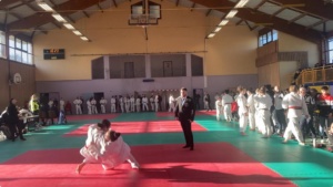 Riedisheim arts martiaux, krav maga kids, self défense féminine, judo, taïso, JJB, jujitsu brésilien, compétition, RAM 