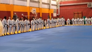 Riedisheim arts martiaux, krav maga kids, self défense féminine, judo, taïso, JJB, jujitsu brésilien, compétition, RAM 