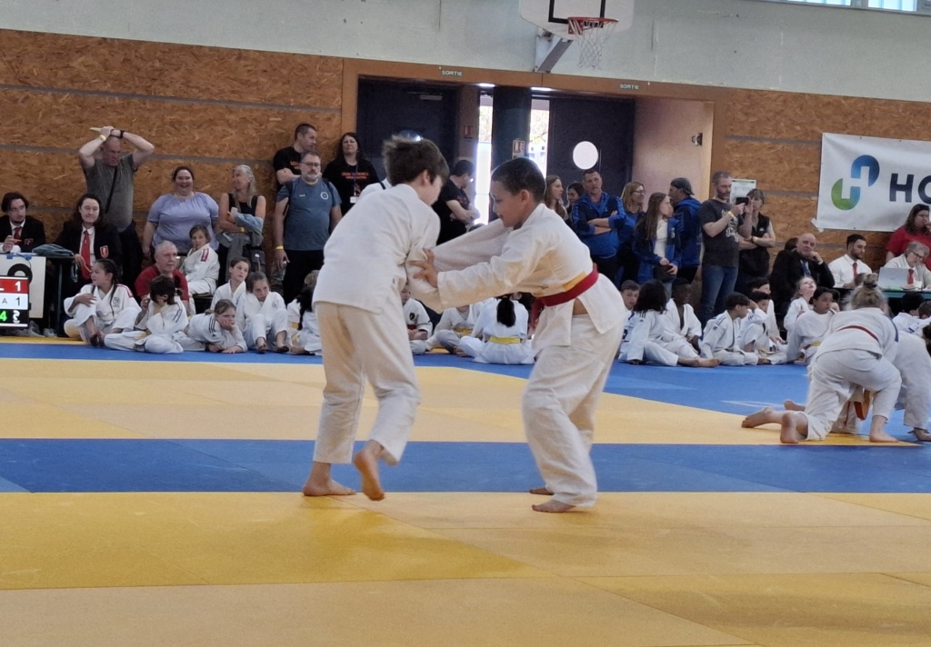 Riedisheim arts martiaux, krav maga kids, self défense féminine, judo, taïso, JJB, jujitsu brésilien, compétition, RAM 